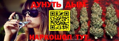 ГАЛЛЮЦИНОГЕННЫЕ ГРИБЫ Жуковский