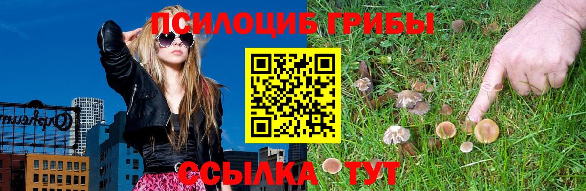 Лыткарино  Псилоцибиновые грибы мицелий  Вход с VPN 