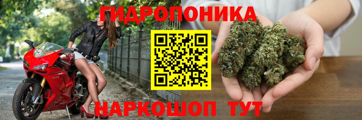 Бошки Шишки сатива Лыткарино
